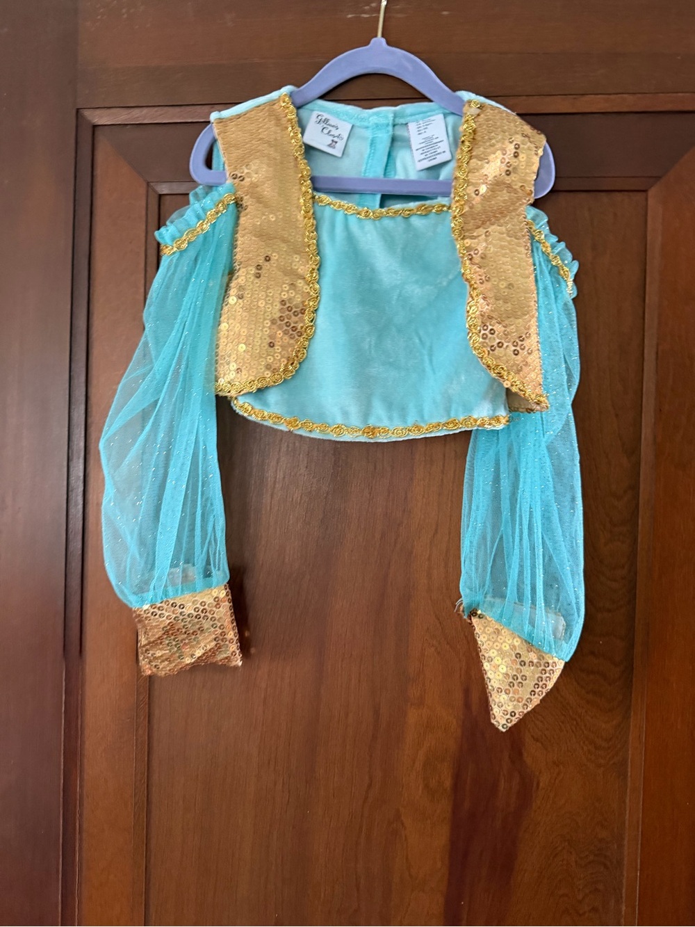 Kids Shimmery Teal Genie/Jasmine Costume with Gold Trim - Picture 2 of 10